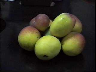 more mangos