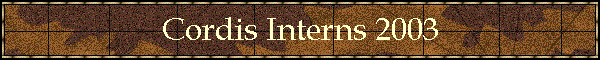 Cordis Interns 2003